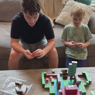 300pcs WonderLab™ Building Blocks